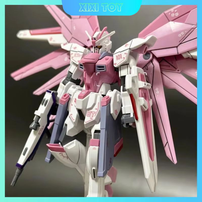 JMS HG 1/144 ZY-06 Freedom Ass - Bandai Gundam Rg review and price