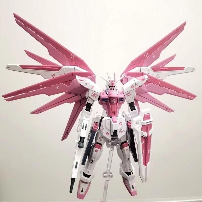 JMS HG 1/144 ZY-06 Freedom Ass - Bandai Gundam Rg review and price