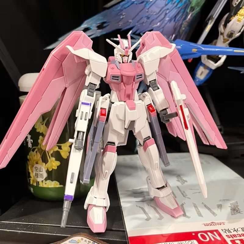 JMS HG 1/144 ZY-06 Freedom Ass - Bandai Gundam Rg review and price